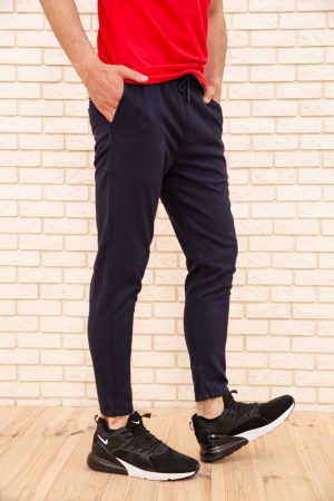 Брюки муж.173R002 цвет Темно-синий 2