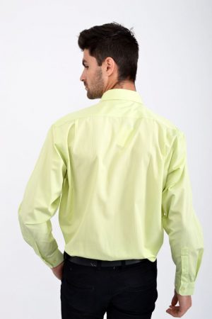 Рубашка 818-71 цвет Салатовый 2