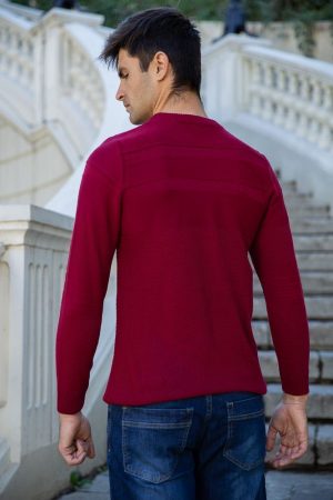 Джемпер мужской 154R2024 цвет Бордовый 2