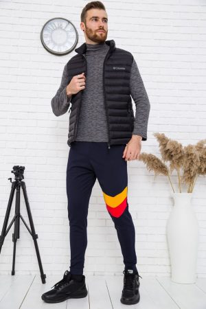 Джоггеры мужские 154R200-01 цвет Синий 3