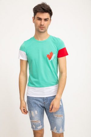 Футболка мужская 119R794 цвет Мятный