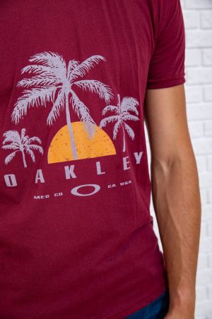 Футболка мужская  167R152 цвет Бордовый 4