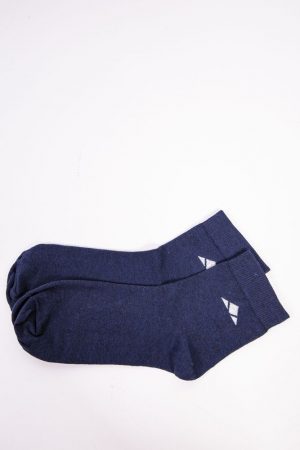 Носки мужские 131R31005-2 цвет Синий 1